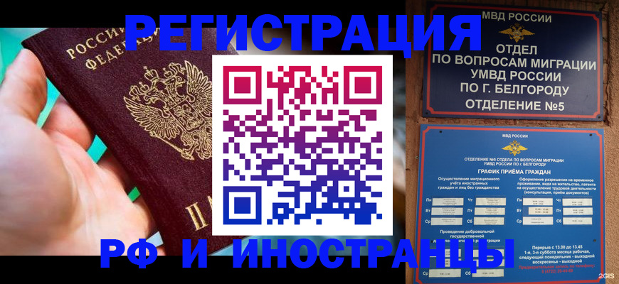 форма 3 в Кудрово